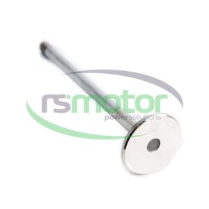Exhaust Valve MWM RS-12452424