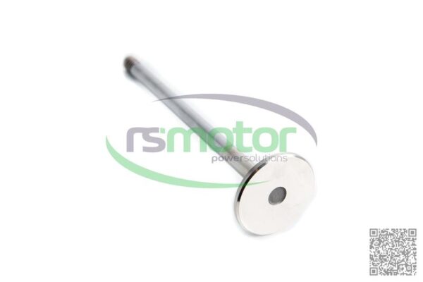 Válvula de escape MWM RS-12452424