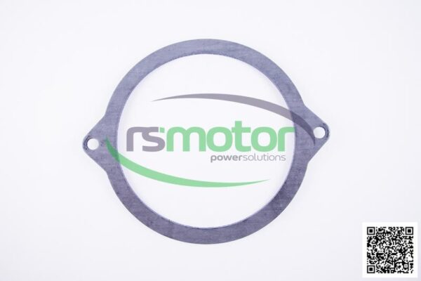 Gasket MWM RS-12452592