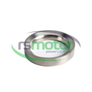 Valve Seat Insert MWM RS-12452845