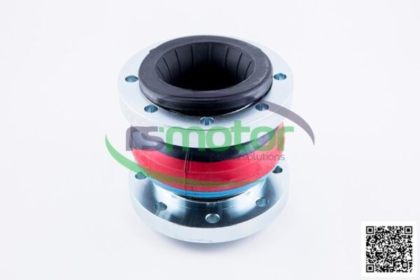 Junta de Expansión MWM RS-12453822