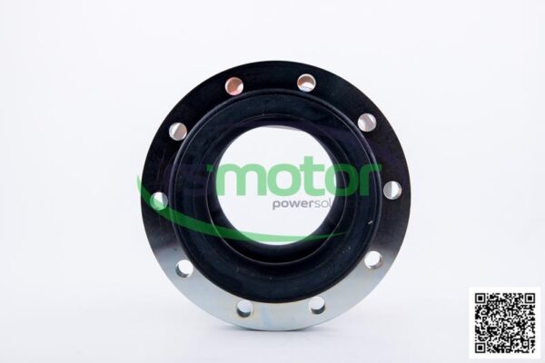Junta de expansión MWM RS-12453855