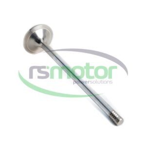 Exhaust Valve MWM RS-12454246