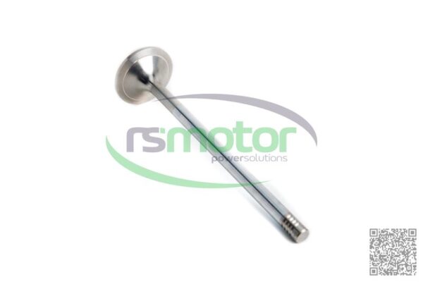 Exhaust Valve MWM RS-12454246