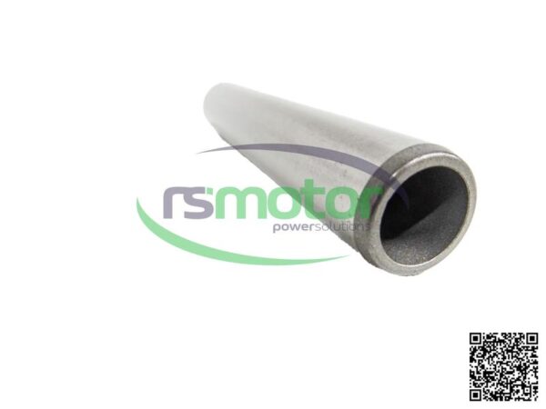 Guía de válvula MWM RS-12454373