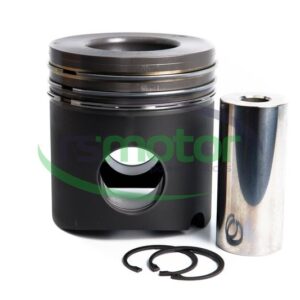 Piston MWM RS-12454726