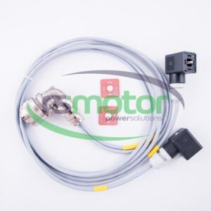 Cable MWM RS-12479722