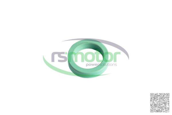 Anillo de Sellado OR-R Jenbacher RS-1248243