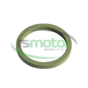 Gasket Jenbacher RS-1251252