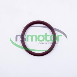 Round Sealing Ring MWM RS-12523253