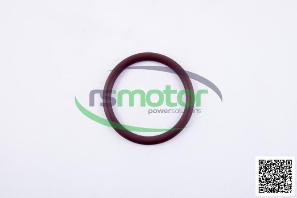 Round Sealing Ring MWM RS-12523253