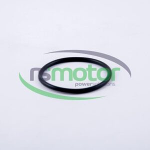 Round Sealing Ring MWM RS-12523974