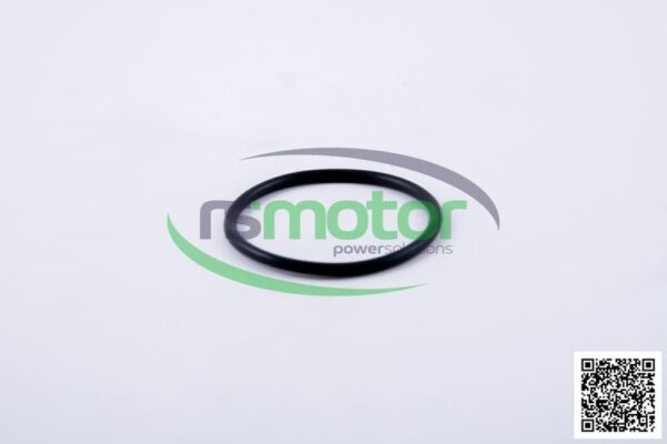 Round Sealing Ring MWM RS-12523974