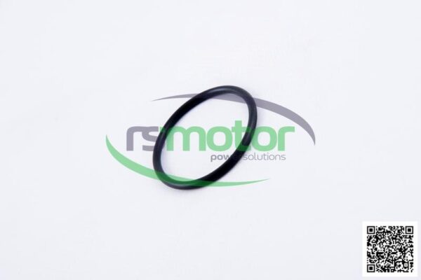 Round sealing ring MWM RS-12523981