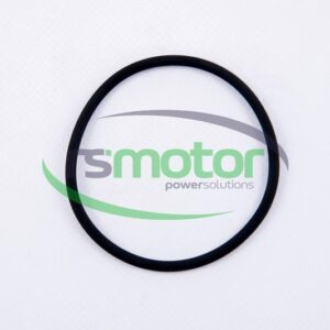 Round sealing ring MWM RS-12524023