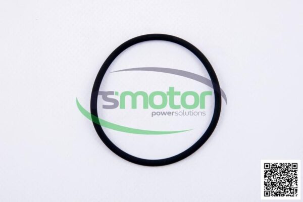 Round sealing ring MWM RS-12524023