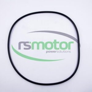 Round Sealing Ring MWM RS-12524104
