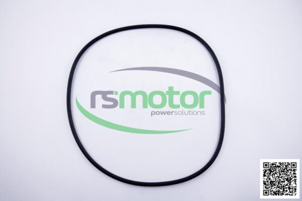 Round Sealing Ring MWM RS-12524104