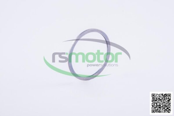 Sealing Ring Jenbacher RS-163034