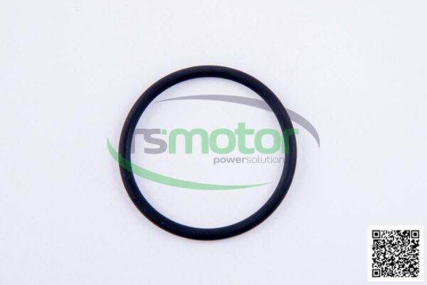O-Ring Jenbacher RS-174461