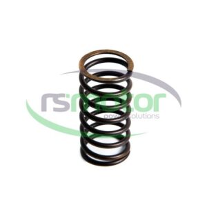 Valve Spring Jenbacher RS-174469