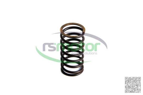Resorte de válvula Jenbacher RS-174469