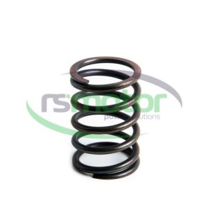 Valve spring Jenbacher RS-174473