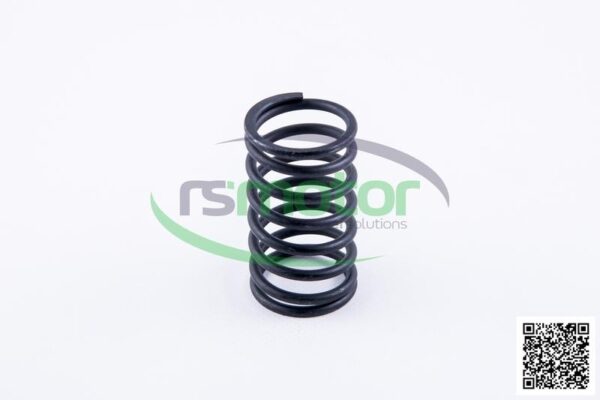 Valve spring Jenbacher RS-174479