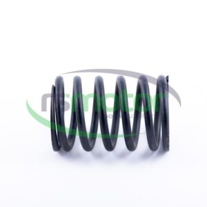 Valve Spring Jenbacher RS-174481