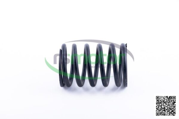 Valve Spring Jenbacher RS-174481