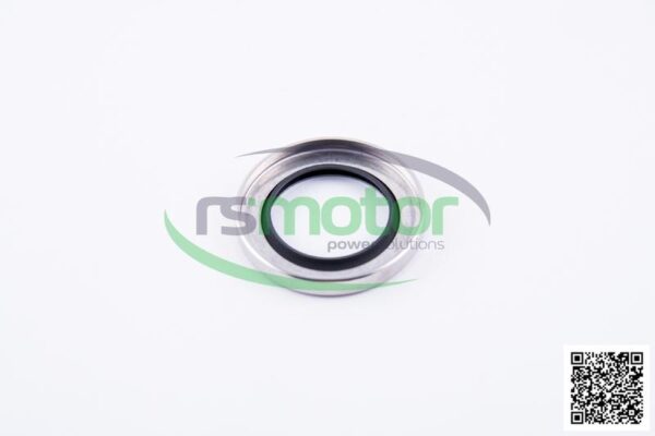 Sealing Ring Jenbacher RS-182054