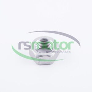 Hexagonal Nut Jenbacher RS-187858