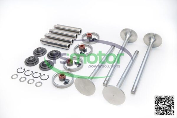 Kit De Reparación De Culata Guascor RS-1977330