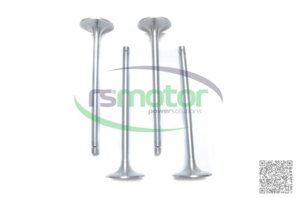 Kit De Reparación De Culata Guascor RS-1977450