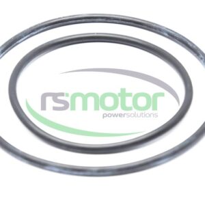 Sealing Ring DN Jenbacher RS-222725