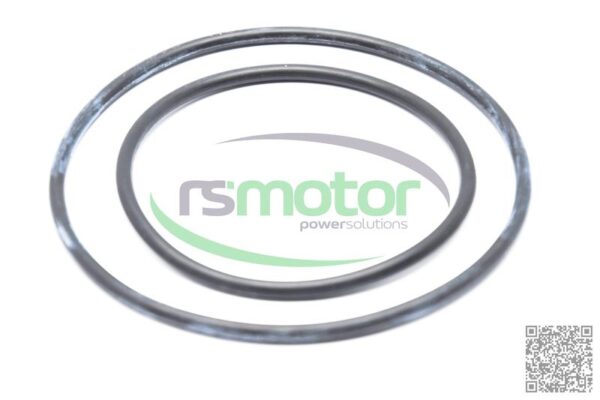 Sealing Ring DN Jenbacher RS-222725