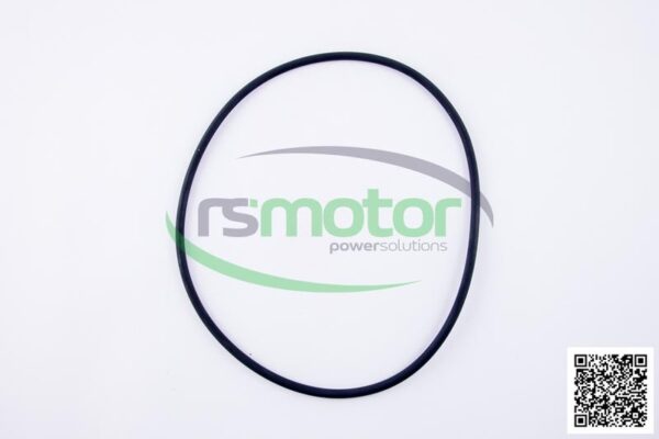 O-Ring Jenbacher RS-224577