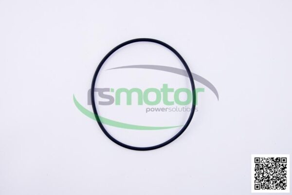 O-ring Jenbacher RS-225040