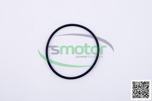 O-ring Jenbacher RS-229981
