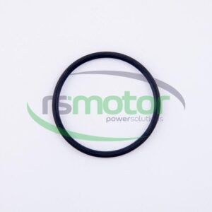 Junta tórica Jenbacher RS-236907