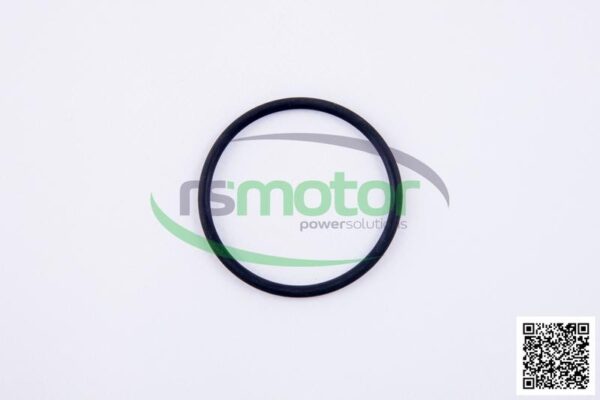 O-Ring Jenbacher RS-236907