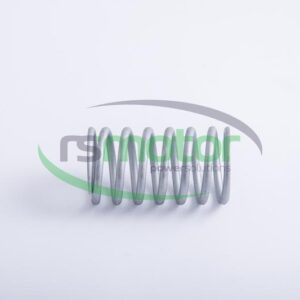 Valve Spring Jenbacher RS-254403