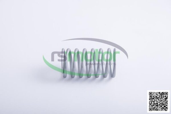 Resorte de válvula Jenbacher RS-254403