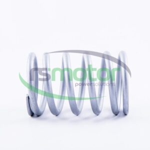 Valve Spring Jenbacher RS-261417