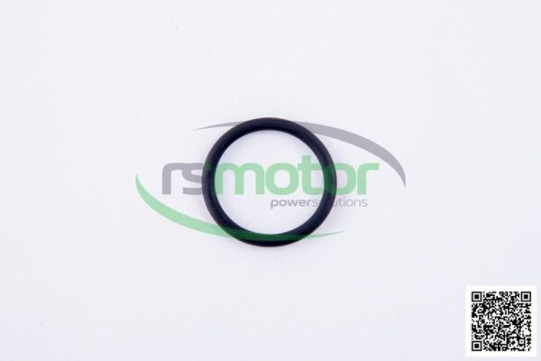 O-ring Jenbacher RS-319741
