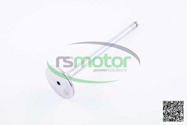 Intake valve Jenbacher RS-334781