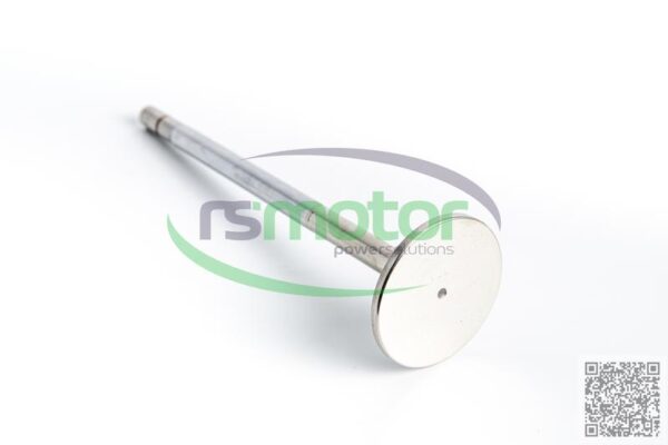 Exhaust Valve Jenbacher RS-334782