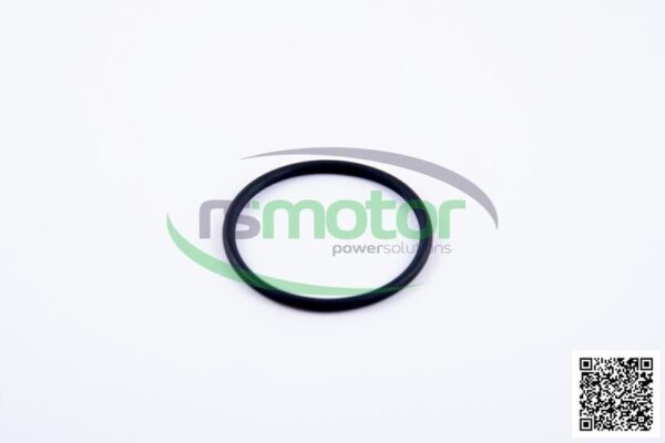 O-Ring Jenbacher RS-350544