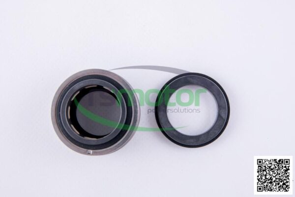Sealing Jenbacher RS-357861