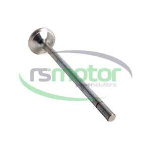 Exhaust Valve Jenbacher RS-369443